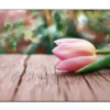 Wunschkarte für Ihre Gestaltungswünsche